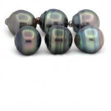 Lot of 6 Tahitian Pearls Ringed C from 12 to 12.3 mm