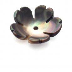 Flower of Tahitian mother-of-pearl - Diameter: 12 mm