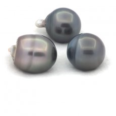 Lot of 3 Tahitian Pearls Ringed C from 13 to 13.3 mm