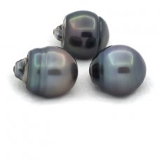 Lot of 3 Tahitian Pearls Ringed C from 12.6 to 12.7 mm