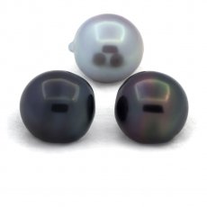 Lot of 3 Tahitian Pearls Semi-Baroque C from 12.1 to 12.3 mm