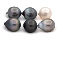 Lot of 6 Tahitian Pearls Semi-Baroque C from 11.6 to 11.8 mm