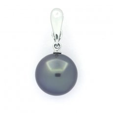 18K solid White Gold Clip Pendant and 1 Tahitian Pearl Round B 12.8 mm