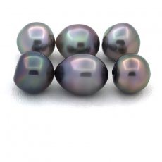 Lot of 6 Tahitian Pearls Semi-Baroque B from 10 to 10.3 mm