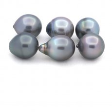 Lot of 6 Tahitian Pearls Semi-Baroque B from 11.1 to 11.4 mm