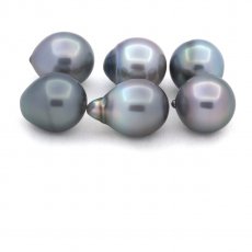 Lot of 6 Tahitian Pearls Semi-Baroque B from 11.1 to 11.4 mm