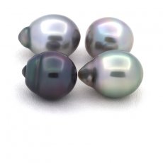 Lot of 4 Tahitian Pearls Semi-Baroque B/C from 10.5 to 10.7 mm