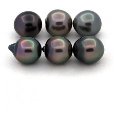Lot of 6 Tahitian Pearls Semi-Baroque B from 10 to 10.4 mm