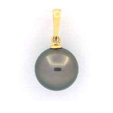 18K solid Gold Pendant and 1 Tahitian Pearl Round A 11.7 mm