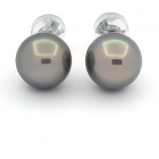 Rhodiated Sterling Silver Earrings and 2 Tahitian Pearls Round C 10.4 mm