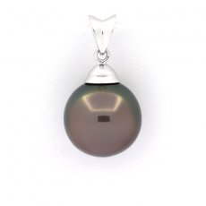 Rhodiated Sterling Silver Pendant and 1 Tahitian Pearl Near-Round C 11.7 mm