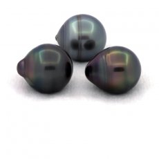 Lot of 3 Tahitian Pearls Ringed C from 12 to 12.4 mm