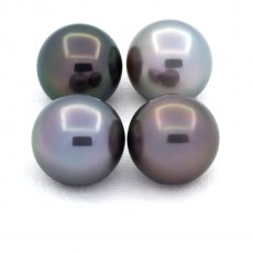 Lot of 4 Tahitian Pearls Round C from 11.1 to 11.3 mm