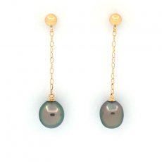 18K Gold Earrings and 2 Tahitian Keishis
