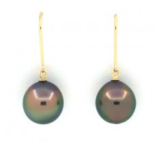 14K solid Gold Earrings and 2 Tahitian Pearls Semi-Baroque B 9.7 mm