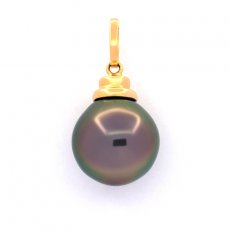 18K Solid Gold Pendant and 1 Tahitian Pearl Semi-Baroque B 11.7 mm