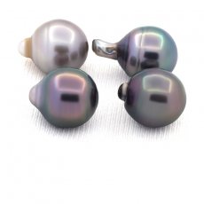 Lot of 4 Tahitian Pearls Ringed C from 11.6 to 11.7 mm
