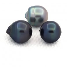Lot of 3 Tahitian Pearls Ringed D from 13.5 to 13.9 mm