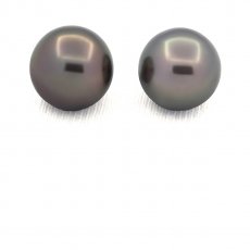 Lot of 2 Tahitian Pearls Round C/D 12.8 mm