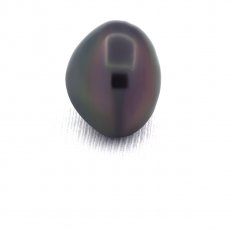 Tahitian Pearl Semi-Baroque B/C 18 mm