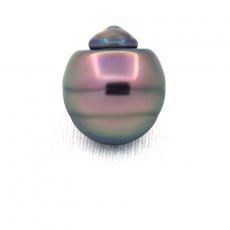 Tahitian Pearl Ringed C 14.4 mm