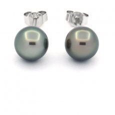 Rhodiated Sterling Silver Earrings and 2 Tahitian Pearls Round C 8.3 mm