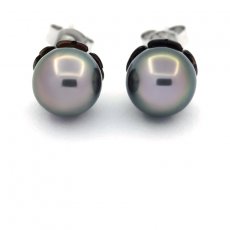 Rhodiated Sterling Silver Earrings and 2 Tahitian Pearls Round C 8.2 and 8.4 mm