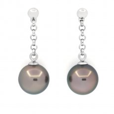 Rhodiated Sterling Silver Earrings and 2 Tahitian Pearls Round C 8.6 mm