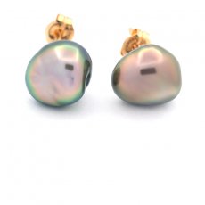 18K Gold Earrings and 2 Tahitian Keishis