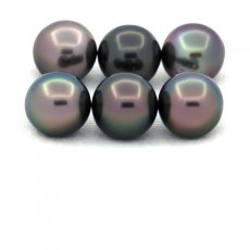 Lot of 6 Tahitian Pearls Round and Near-Round C from 8.3 to 8.4 mm