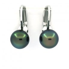 Rhodiated Sterling Silver Earrings and 2 Tahitian Pearls Round C 8.1 mm
