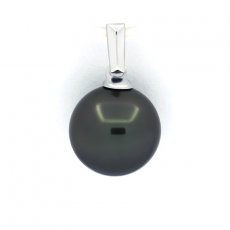 Rhodiated Sterling Silver Pendant and 1 Tahitian Pearl Round C 10 mm