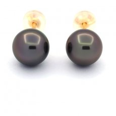 18K solid Gold Earrings and 2 Tahitian Pearls Round B 8.2 mm