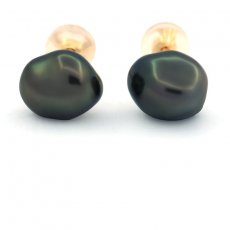 18K Gold Earrings and 2 Tahitian Keishis