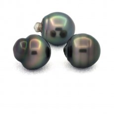 Lot of 3 Tahitian Pearls Ringed C from 11.6 to 11.8 mm