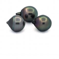 Lot of 3 Tahitian Pearls Ringed C from 11.6 to 11.7 mm