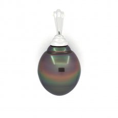 Rhodiated Sterling Silver Pendant and 1 Tahitian Pearl Ringed B 13.4 mm