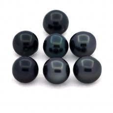 Lot of 7 Tahitian Pearls Near-Round C/D from 7.5 to 7.9 mm