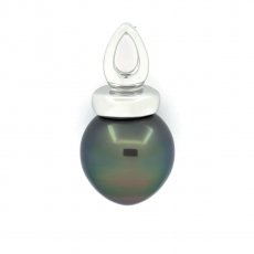 Sterling Silber Anhnger und 1 Semi Barock TahitiPerle B 11.1 mm