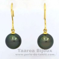 18K solid Gold Earrings and 2 Tahitian Pearls Round B 9.2 mm