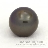 Tahitian Pearl Round C 12.3 mm