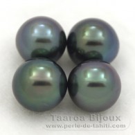 Lot of 4 Tahitian Pearls Semi-Round C from 9 to 9.4 mm