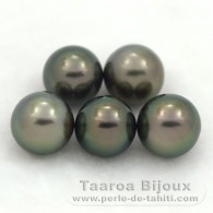 Lot of 5 Tahitian Pearls Semi-Round C from 9 to 9.3 mm