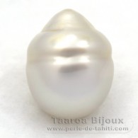 Australian Pearl Ringed AA 15.1 mm