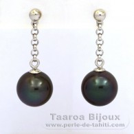 Rhodiated Sterling Silver Earrings and 2 Tahitian Pearls Round C 9.1 mm