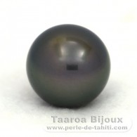 Tahitian Pearl Round B 14 mm