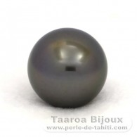 Tahitian Pearl Round C 14.6 mm