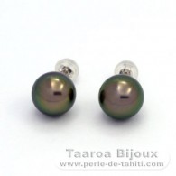 18K Solid White Gold Earrings and 2 Tahitian Pearls Round B 9.5 mm