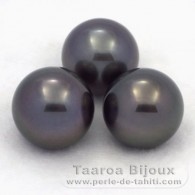 Lot of 3 Tahitian Pearls Round C from 12.6 to 12.9 mm