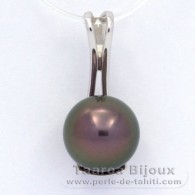 Rhodiated Sterling Silver Pendant and 1 Tahitian Pearl Round C 10.4 mm